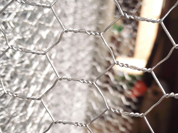 Hexagonal Galvanized Wire Netting