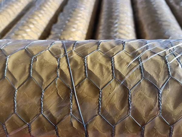 Galvanized Chicken Wire Mesh
