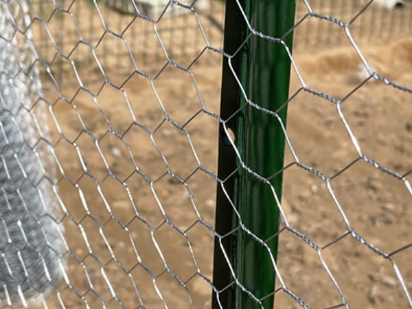 Poultry Enclosures