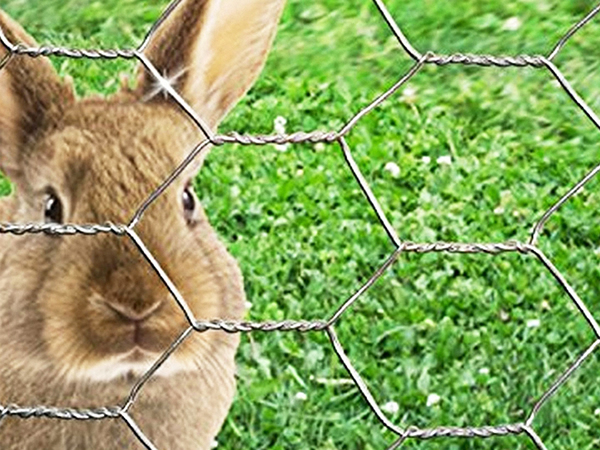 Rabbit Cages